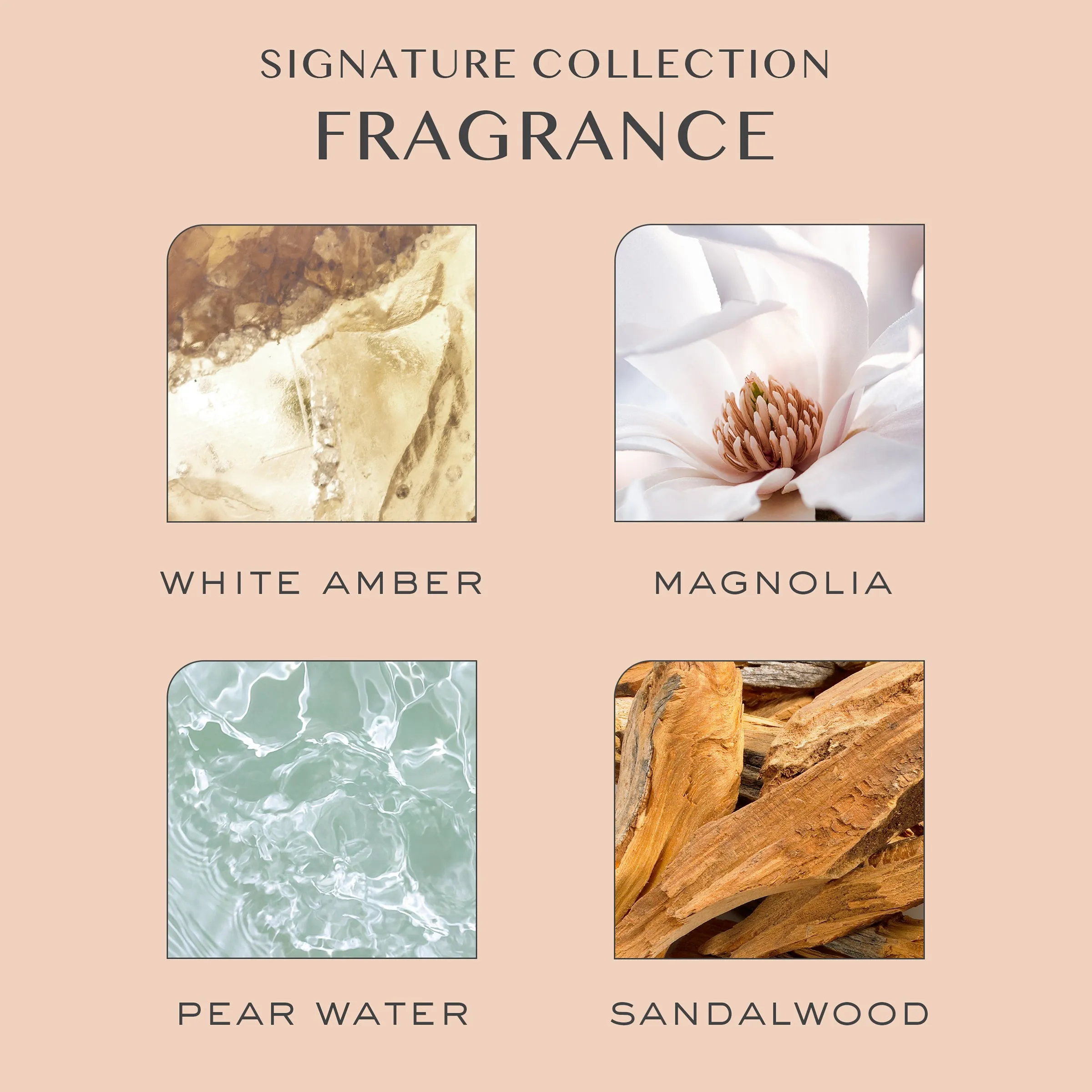 Clarifying Shampoo