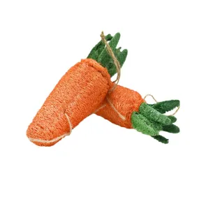 Loofah Carrot Dental Toy