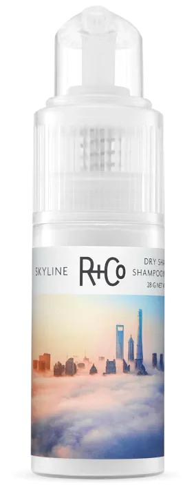 SKYLINE Dry Shampoo Powder
